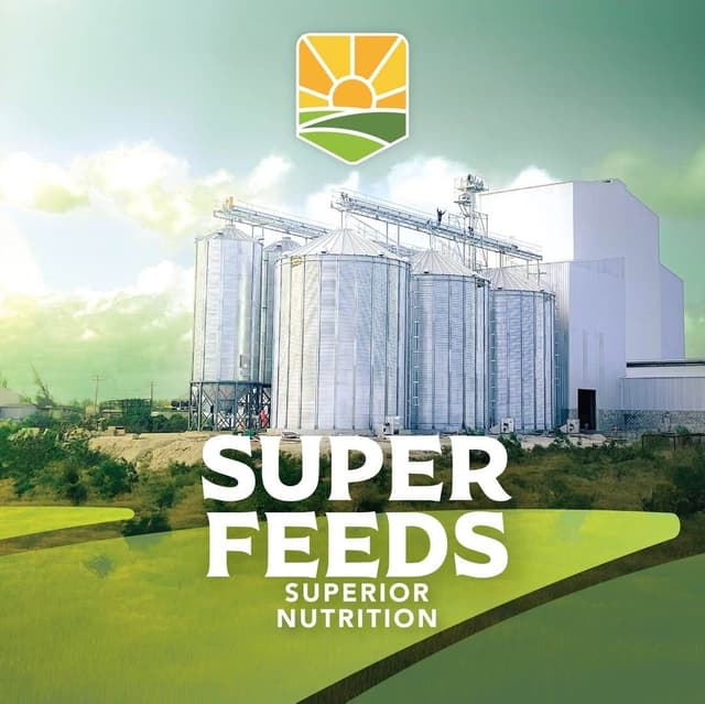 Super Feeds